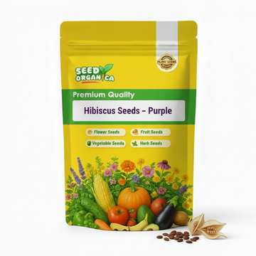 Hibiscus Seeds – Purple