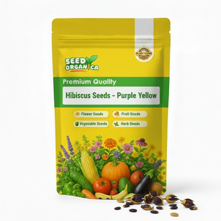 Hibiscus Seeds – Purple Yellow