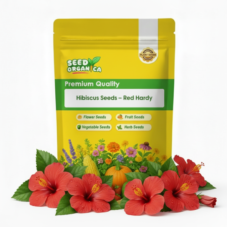 Hibiscus Seeds – Red Hardy
