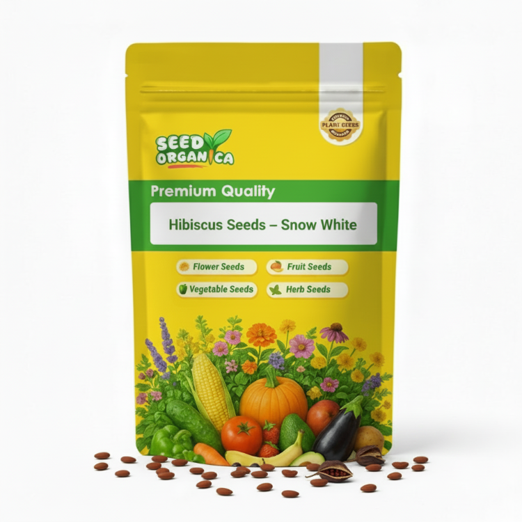 Hibiscus Seeds – Snow White