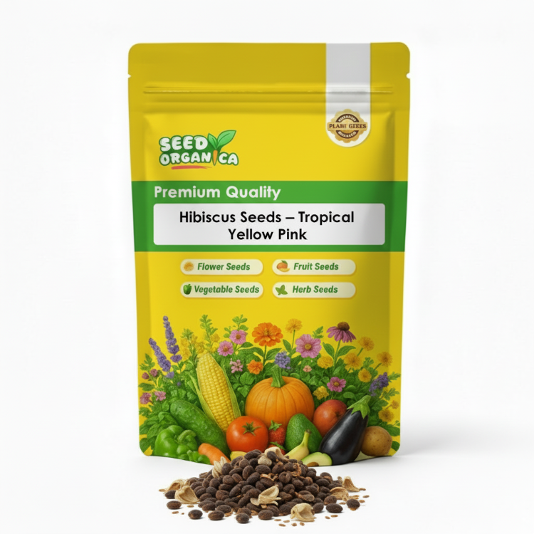 Hibiscus Seeds – Tropical Yellow Pink