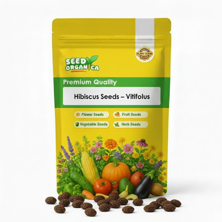 Hibiscus Seeds – Vitifolius