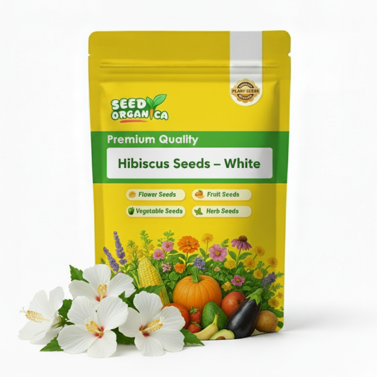 Hibiscus Seeds – White