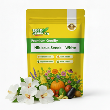 Hibiscus Seeds – White