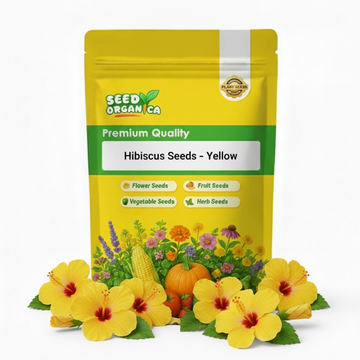 Hibiscus Seeds – Yellow