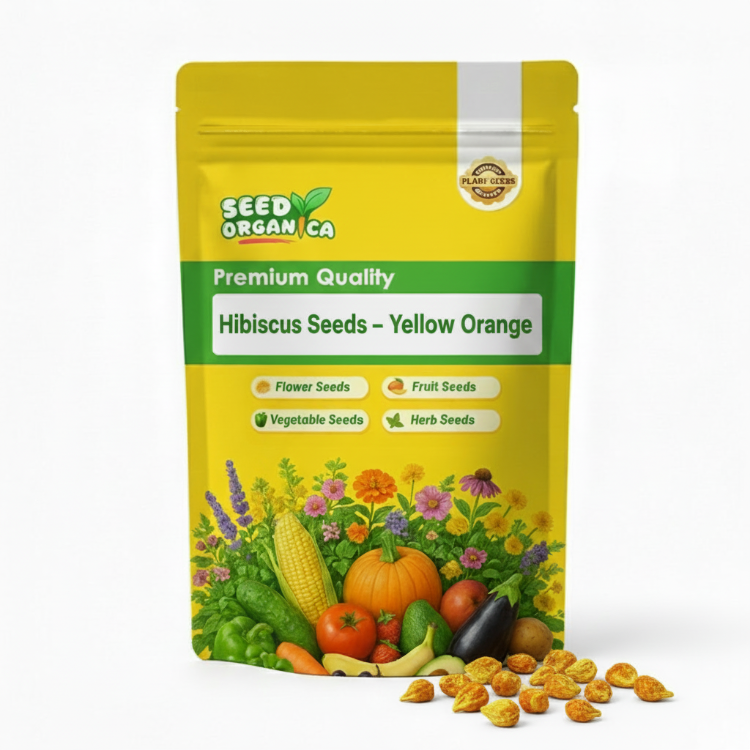 Hibiscus Seeds – Yellow Orange