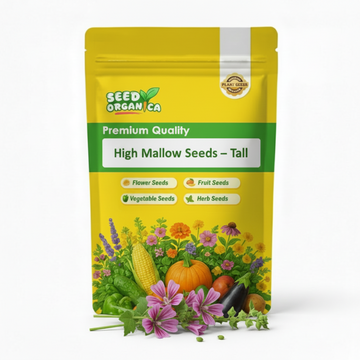 High Mallow Seeds – Tall