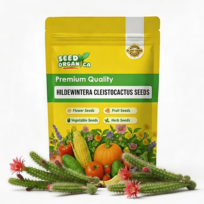 Hildewintera Cleistocactus Seeds