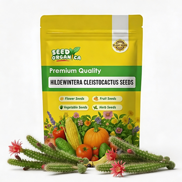 Hildewintera Cleistocactus Seeds