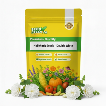 Hollyhock Seeds - Double White