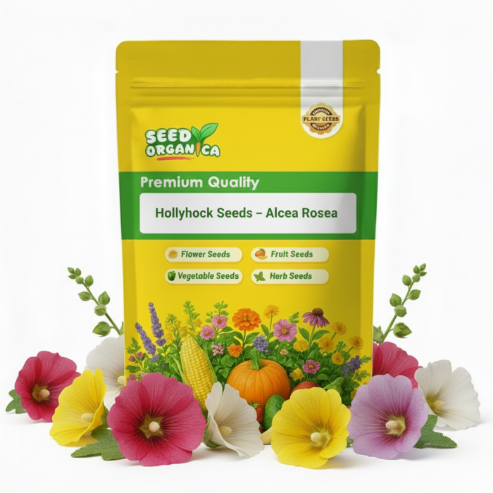 Hollyhock Seeds – Alcea Rosea