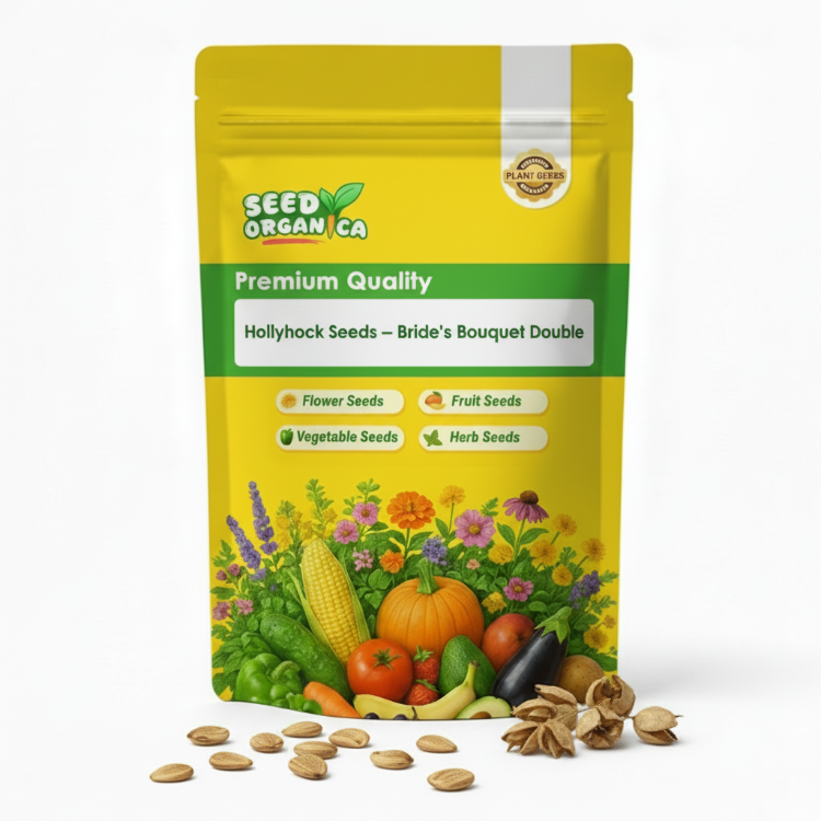 Hollyhock Seeds – Bride's Bouquet Double