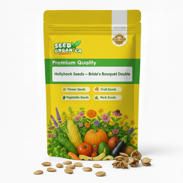 Hollyhock Seeds – Bride's Bouquet Double