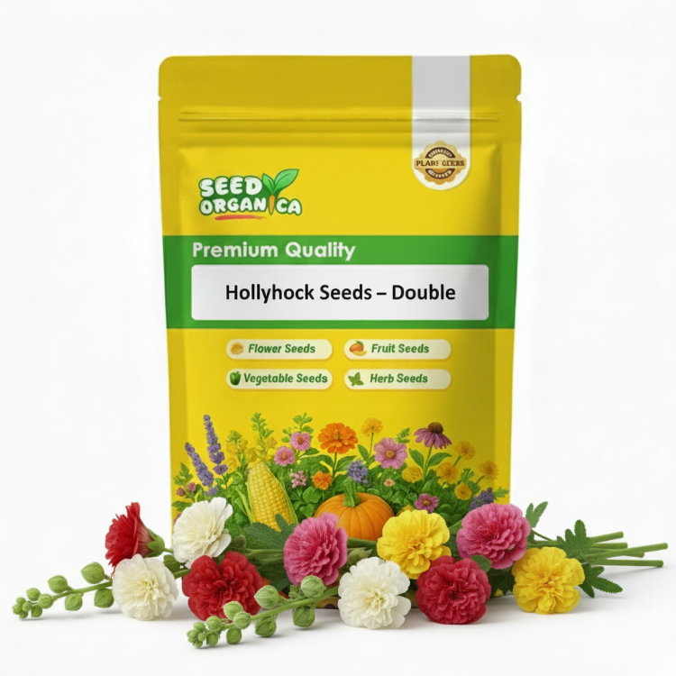 Hollyhock Seeds – Double