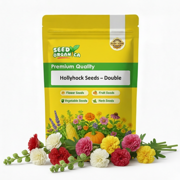 Hollyhock Seeds – Double