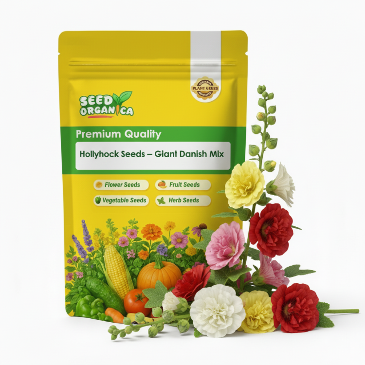 Hollyhock Seeds – Giant Danish Mix