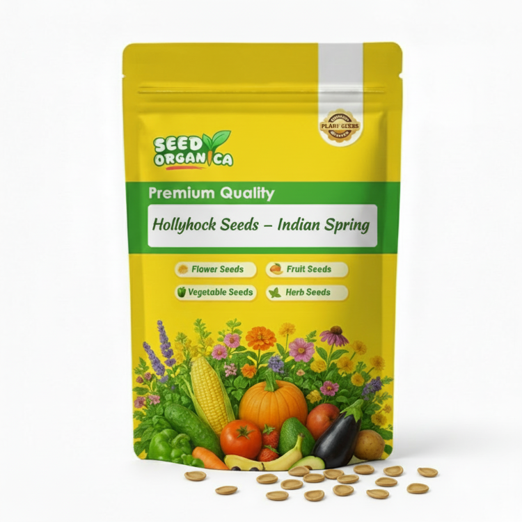 Hollyhock Seeds – Indian Spring