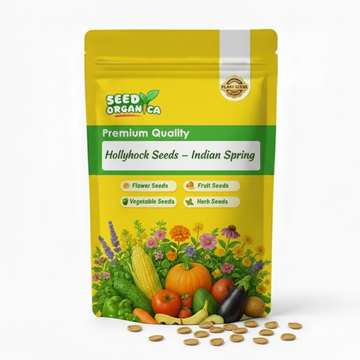 Hollyhock Seeds – Indian Spring