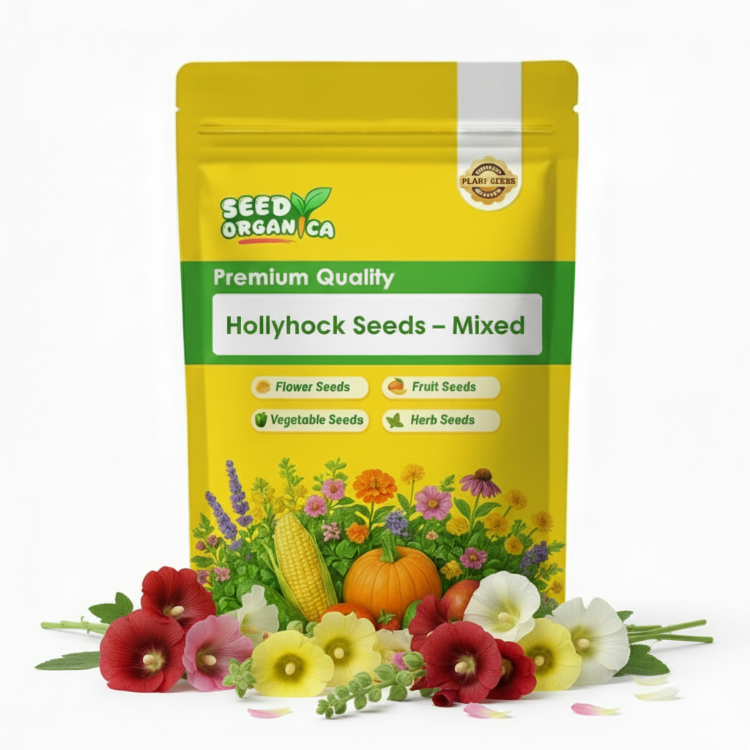 Hollyhock Seeds – Mixed