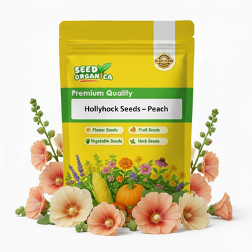 Hollyhock Seeds – Peach
