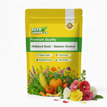 Hollyhock Seeds – Summer Carnival