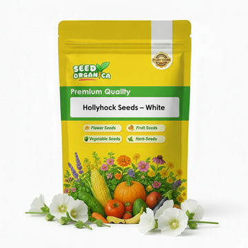 Hollyhock Seeds – White