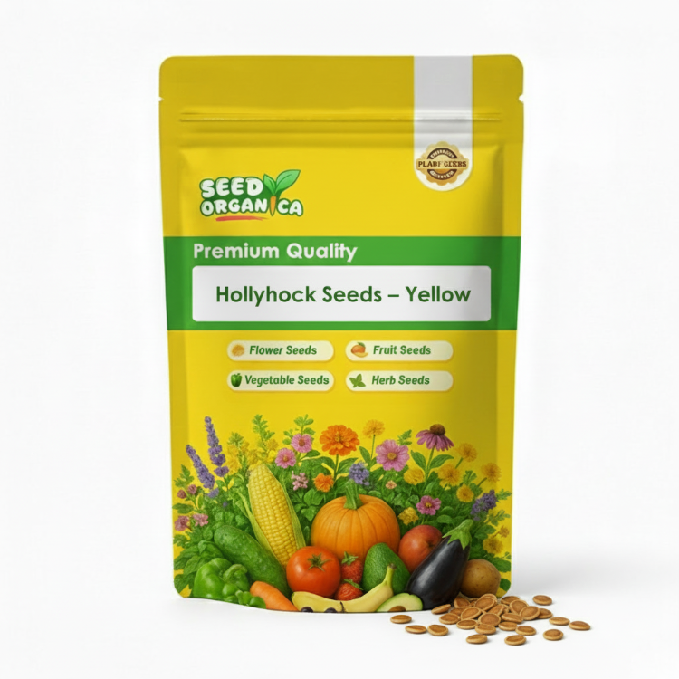 Hollyhock Seeds – Yellow