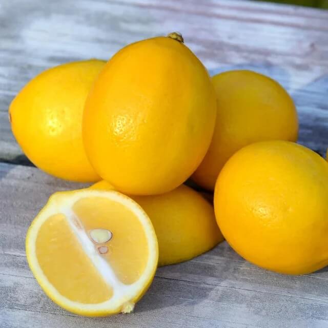 Homegrown Citrus Seeds