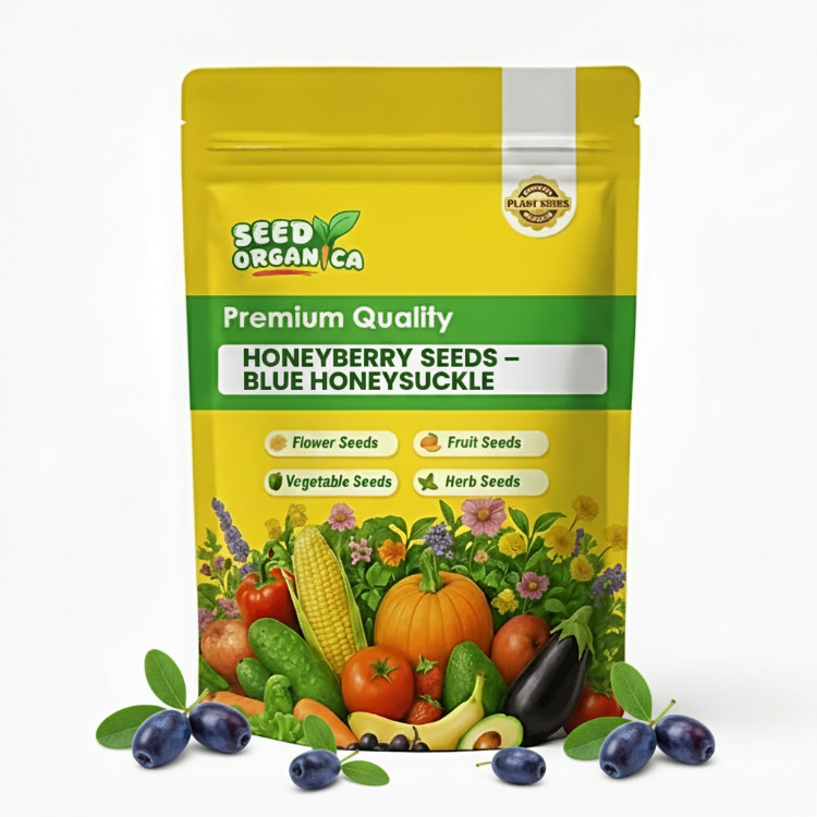 Honeyberry Seeds – Blue Honeysuckle