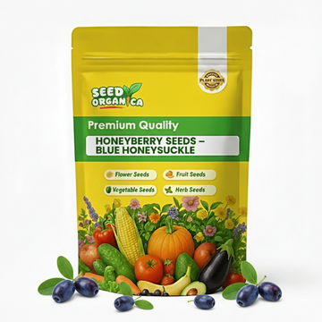 Honeyberry Seeds – Blue Honeysuckle