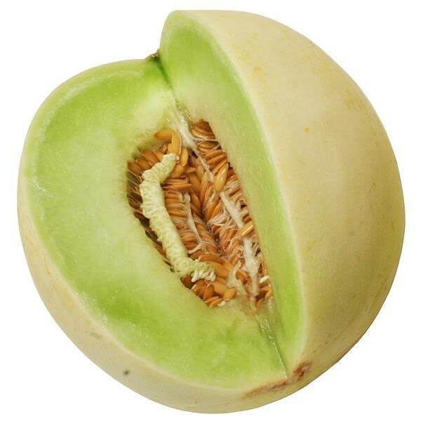 Honeydew Seeds – Green Melon