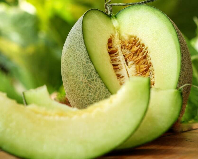 Honeydew Melon Seeds – Cucumis melo