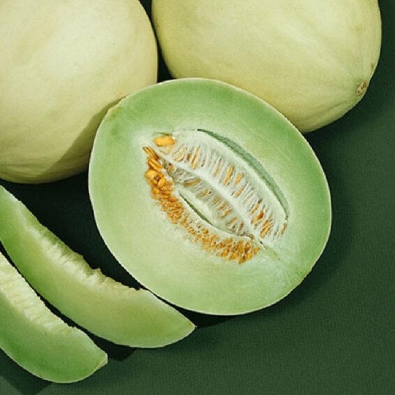 Honeydew Melon Seeds – Cucumis melo