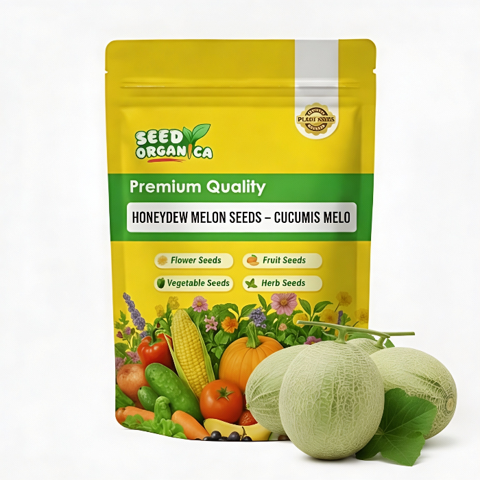 Honeydew Melon Seeds – Cucumis melo