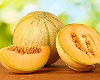Honeydew Melon Seeds – Sweet