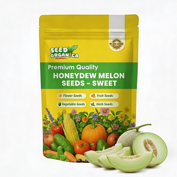 Honeydew Melon Seeds – Sweet