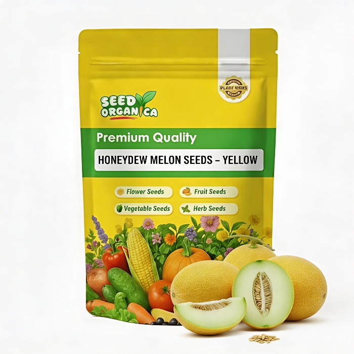 Honeydew Melon Seeds – Yellow