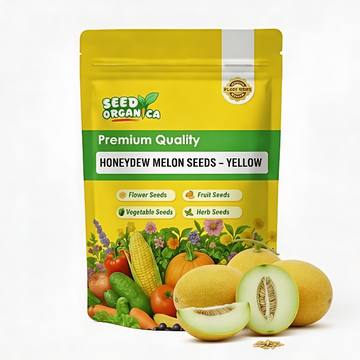Honeydew Melon Seeds – Yellow