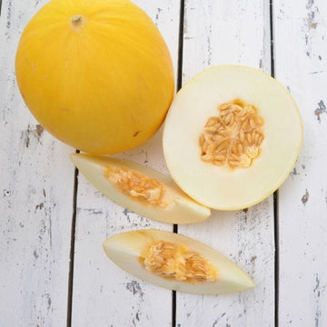 Honeydew Melon Seeds – Yellow