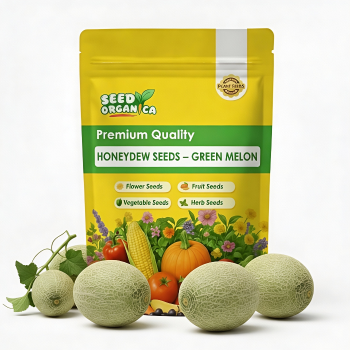 Honeydew Seeds – Green Melon