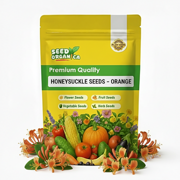 Honeysuckle Seeds – Orange