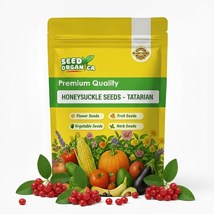 Honeysuckle Seeds – Tatarian