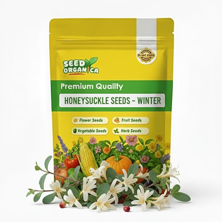 Winter Honeysuckle Seeds Climbing Flower Garden Seeds Winter Honeysuckle Seeds Climbing Flower Garden Seeds