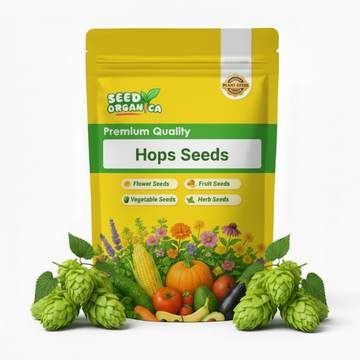Hops Seeds