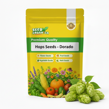 Hops Seeds - Dorado
