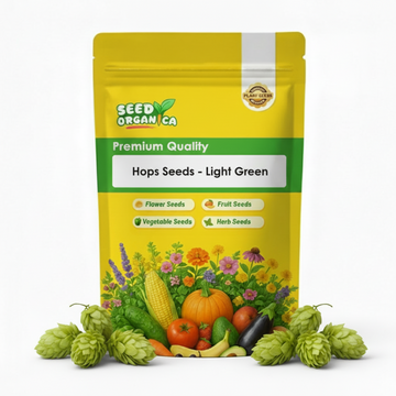 Hops Seeds - Light Green