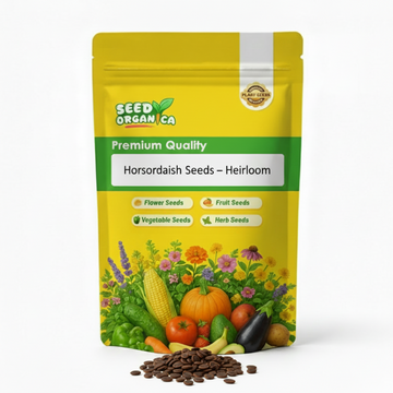 Horseradish Seeds – Heirloom