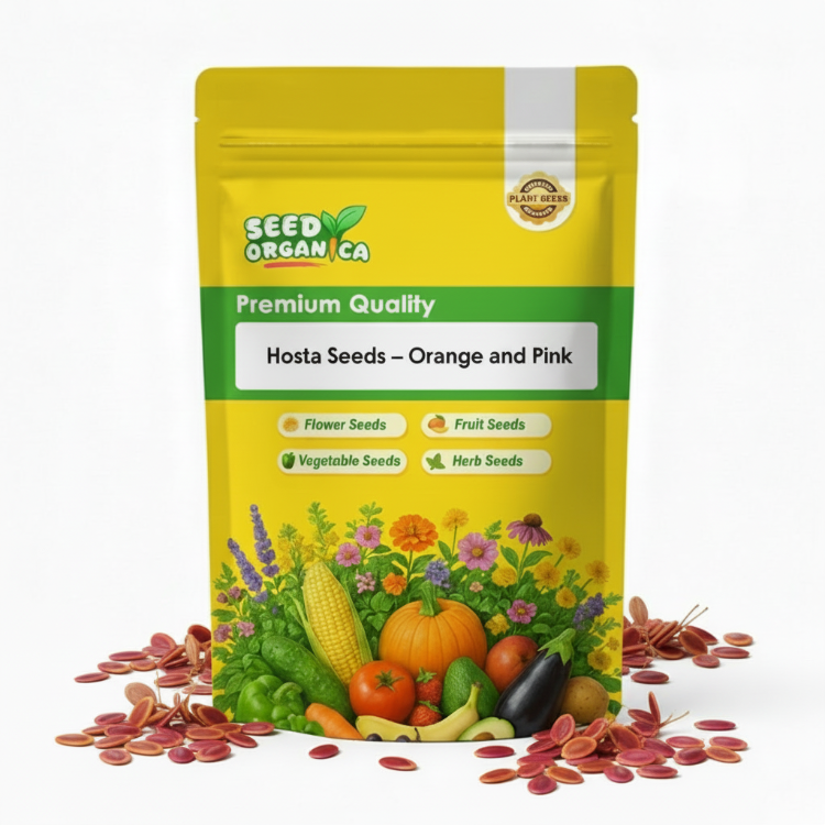 Hosta Seeds –  Orange and Pink