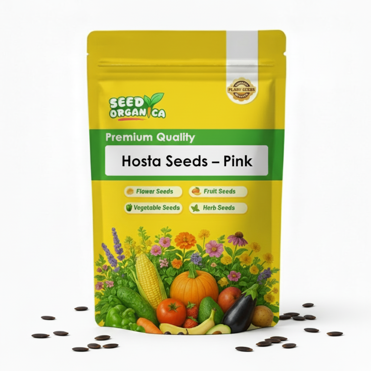 Hosta Seeds – Pink