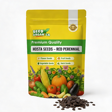 Hosta Seeds – Red Perennial